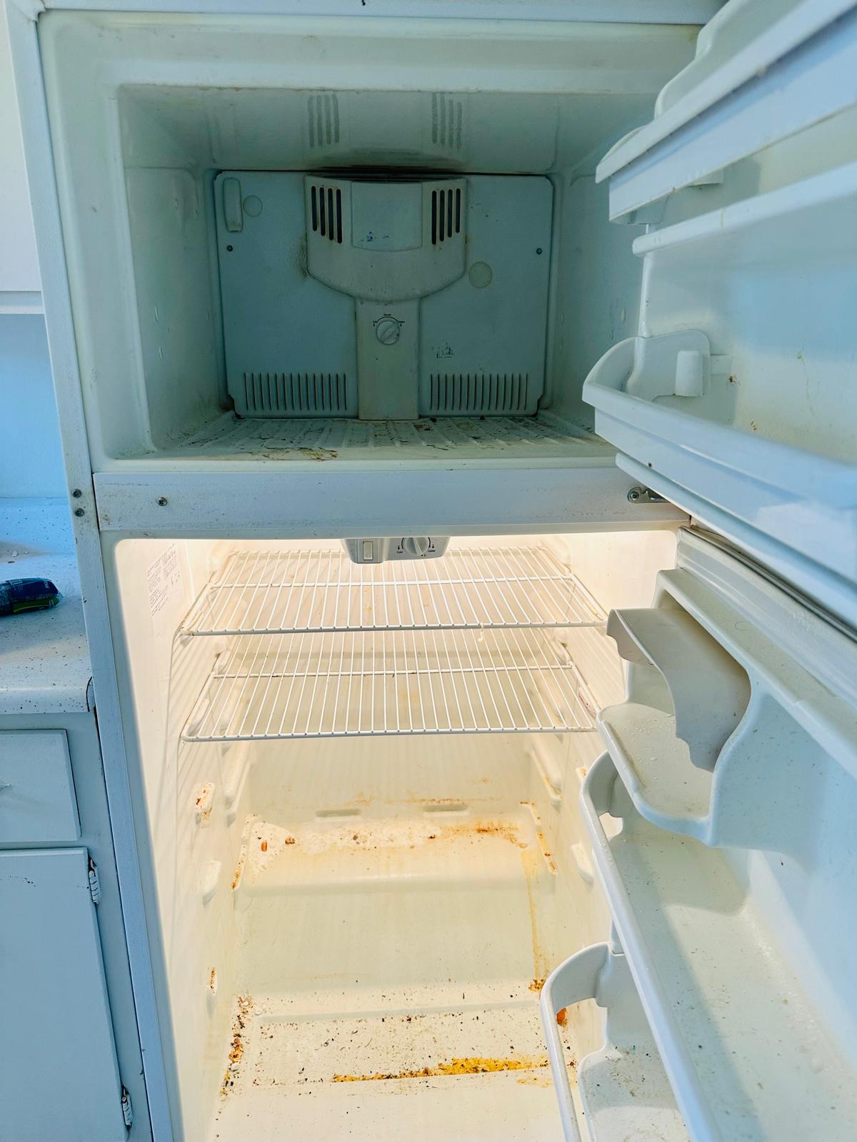 Refrigerator before cleaning